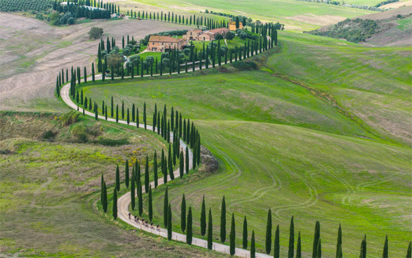colnago tuscany