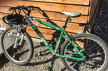 saracen mountain bike