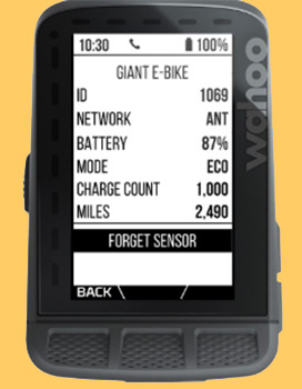 wahoo elemnt