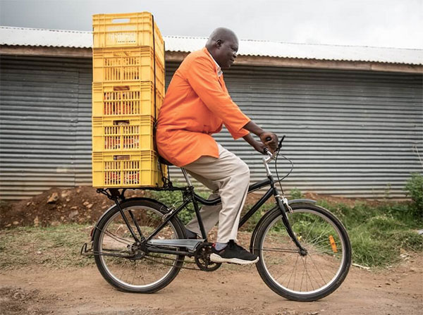 buffalo s2 bicycle
