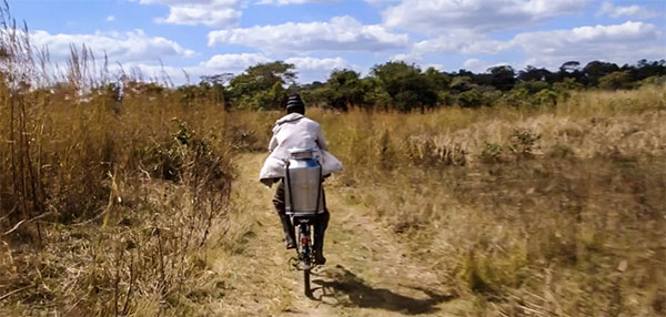 world bicycle relief