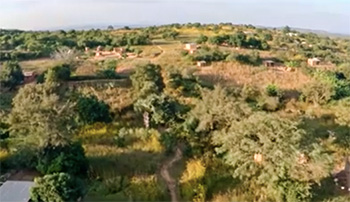 palabana