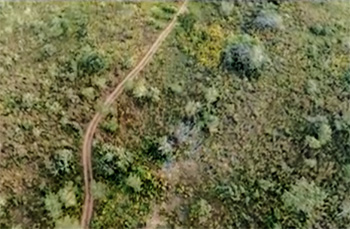 palabana