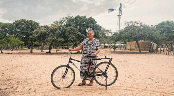 buffalo bike