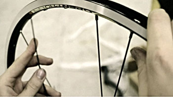 martin muller condor cycles