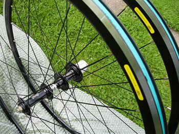 wheelsmith