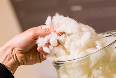 campaign for wool bike ride