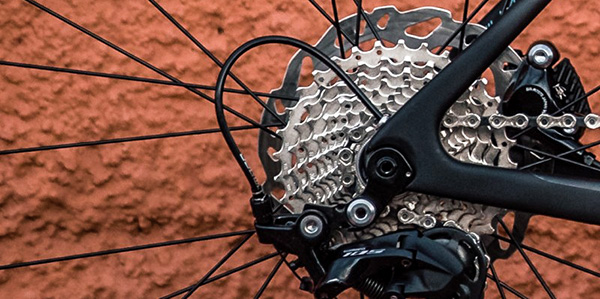 chain and sprocket