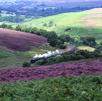 yorkshire grand depart