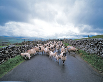 yorkshire grand depart