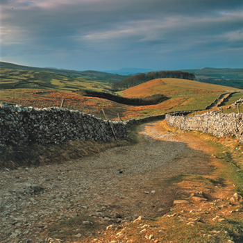yorkshire grand depart