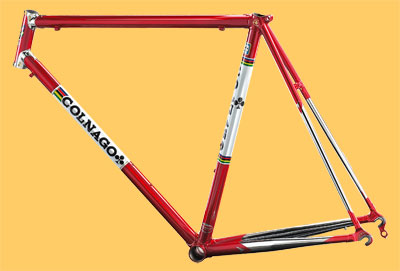 master x-lite saronni