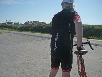cervo rosso strada doppio 2