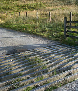 cattle grid