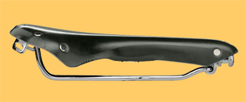 brooks swallow