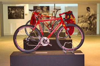 fireflies colnago