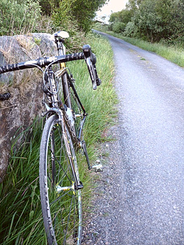 focus izalco extreme