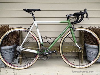 foresta frames