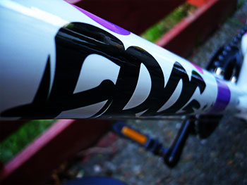 frog bikes 55