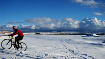 winter wonderland