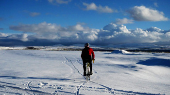 mince pie ride