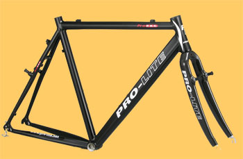 pro-lite piemonte