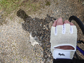 rapha classic track mitts