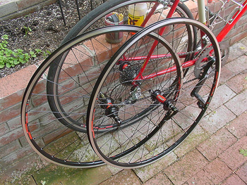svelte wheel
